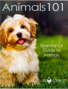 Animals 101 Mini Booklet (English)